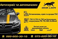 GasLion Автосервіс, СТО та автомагазин - Киев. Фото 5