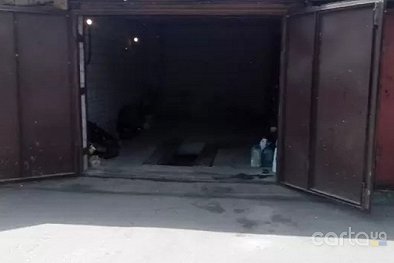 Monster Energy - Киев