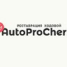 AutoProCherk