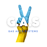 GAS AUTOMOBILE SYSTEMS